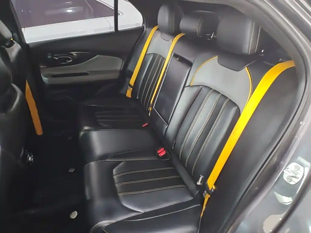 GAC Motor Shadow Leopard — фото 17