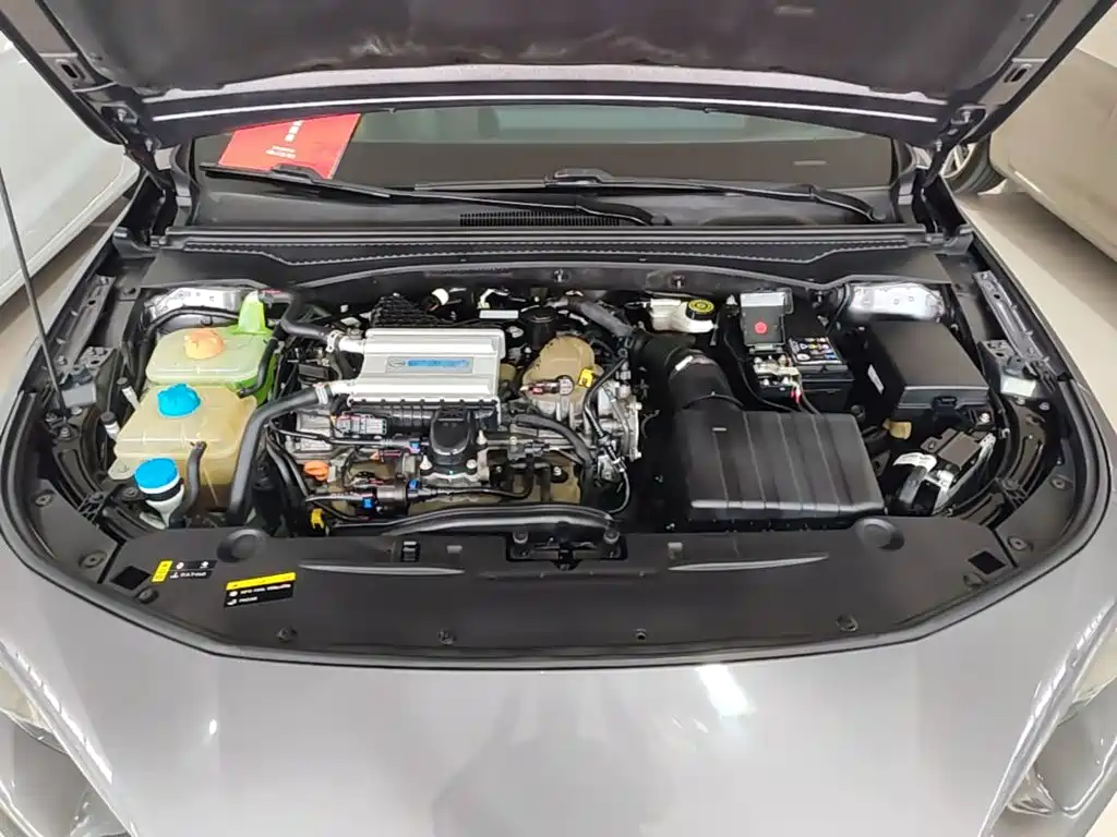 GAC Motor Shadow Leopard — фото 20