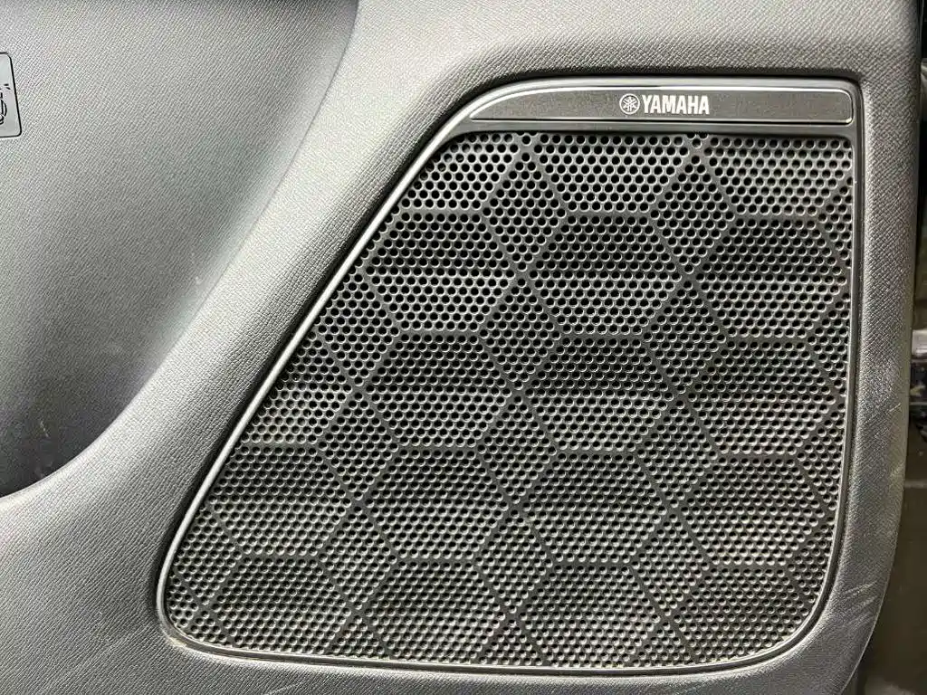 GAC Motor Trumpchi E9 — фото 10
