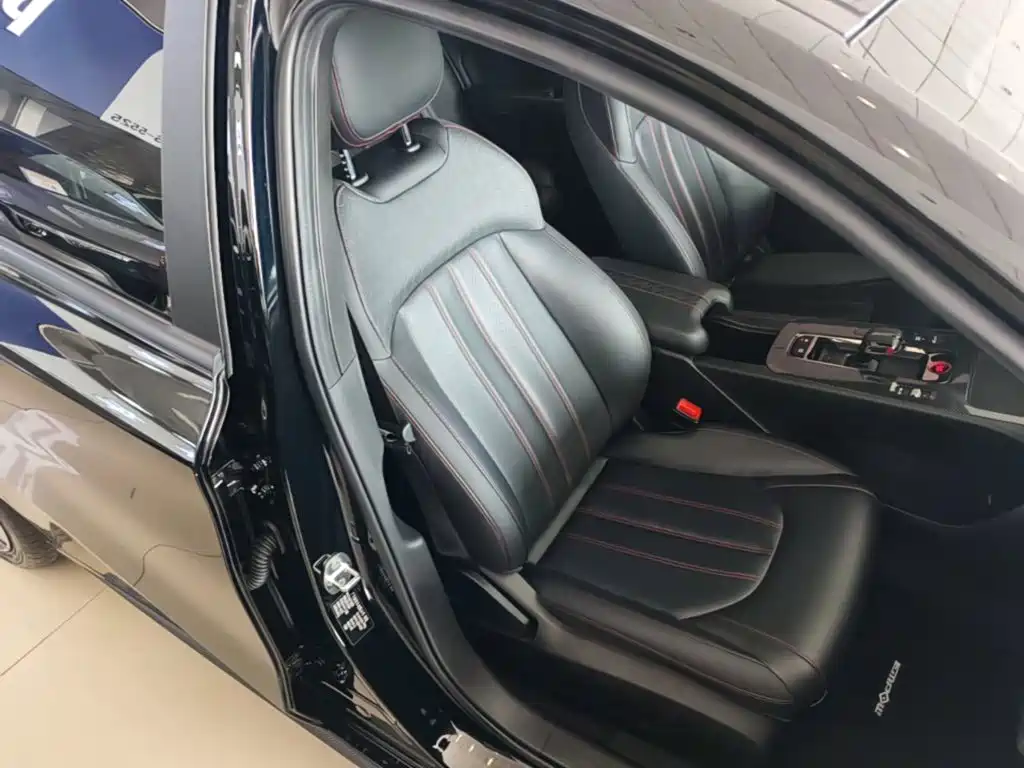GAC Motor Shadow Leopard — фото 25