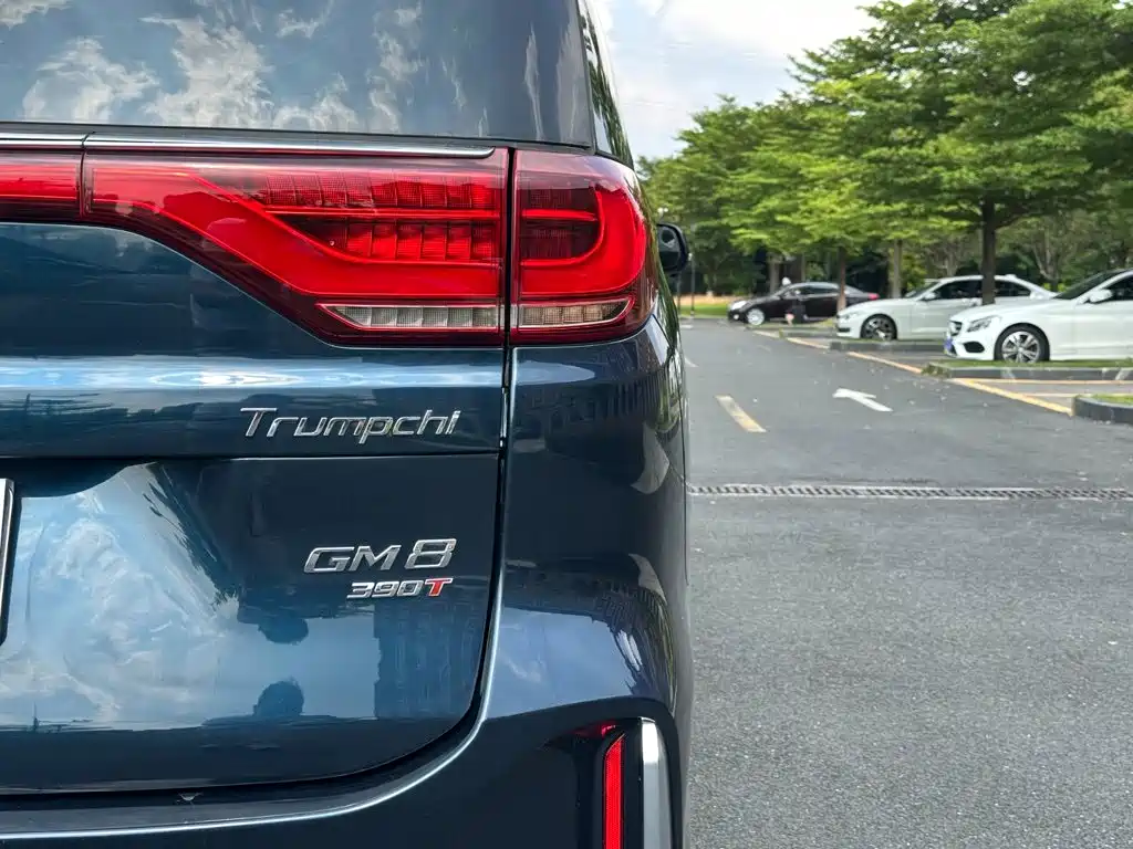 GAC Motor Trumpchi M8 — фото 19