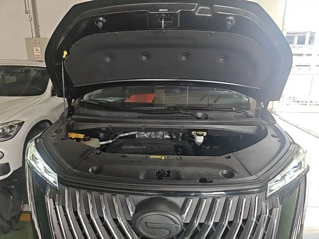 GAC Motor Trumpchi M8 — фото 20