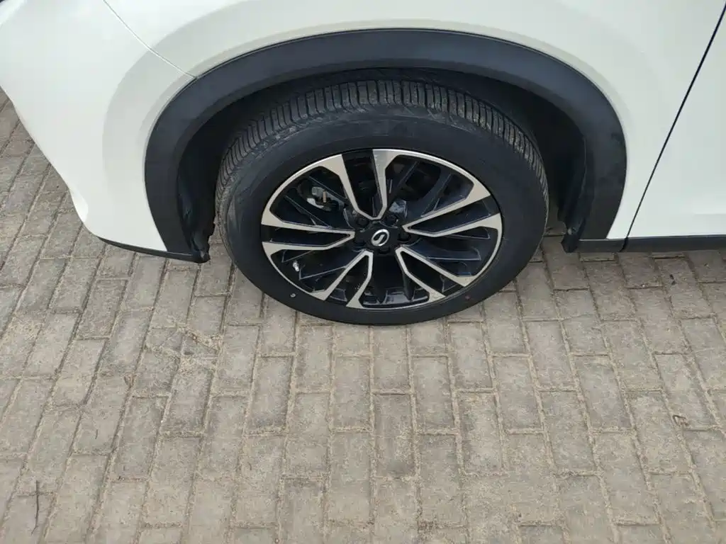 GAC Motor GS4 Plus — фото 23