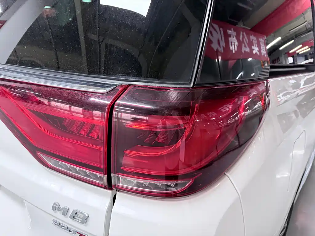 GAC Motor Trumpchi M8 — фото 20