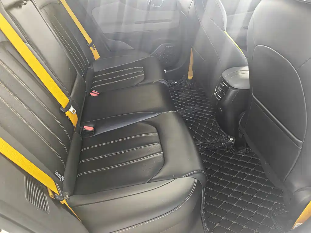 GAC Motor Shadow Leopard — фото 13