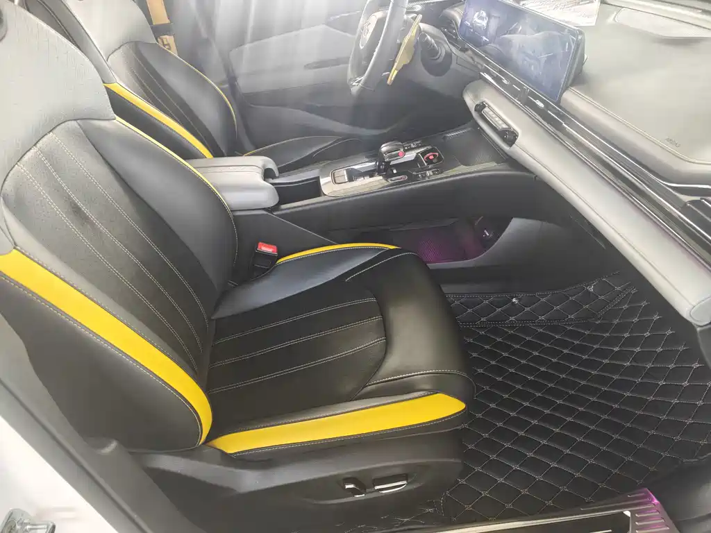 GAC Motor Shadow Leopard — фото 14