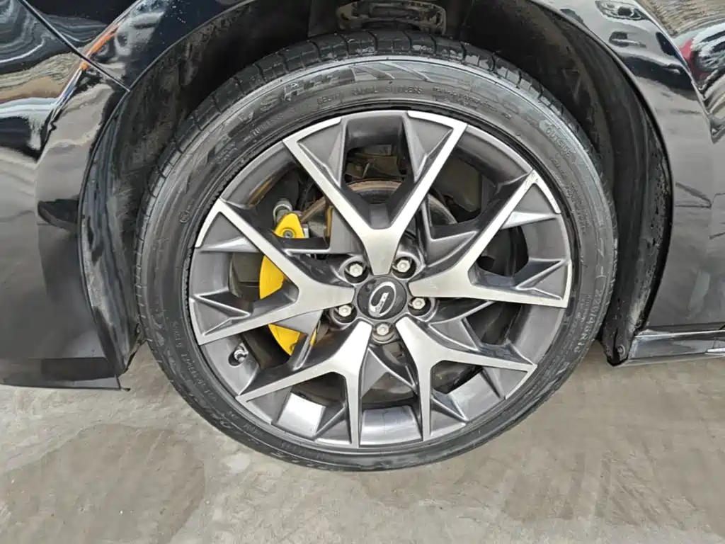 GAC Motor Shadow Leopard — фото 23