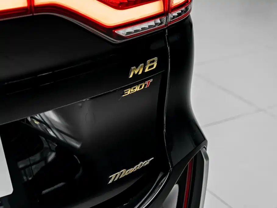 GAC Motor Trumpchi M8 — фото 46
