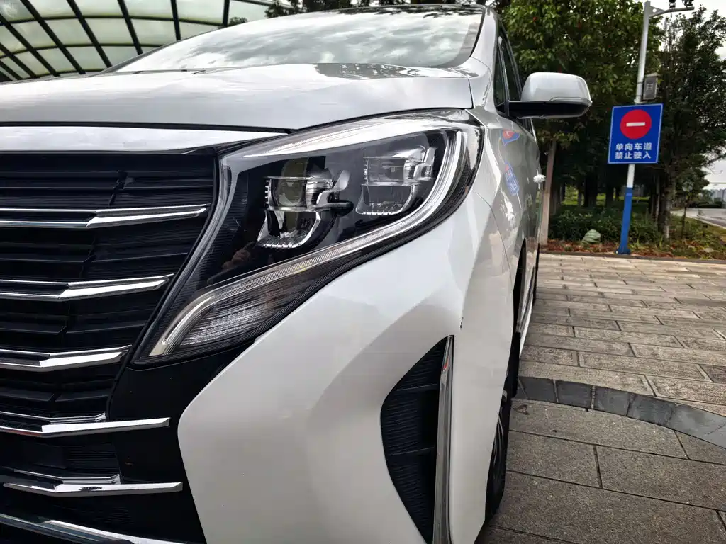 GAC Motor Trumpchi M8 — фото 13