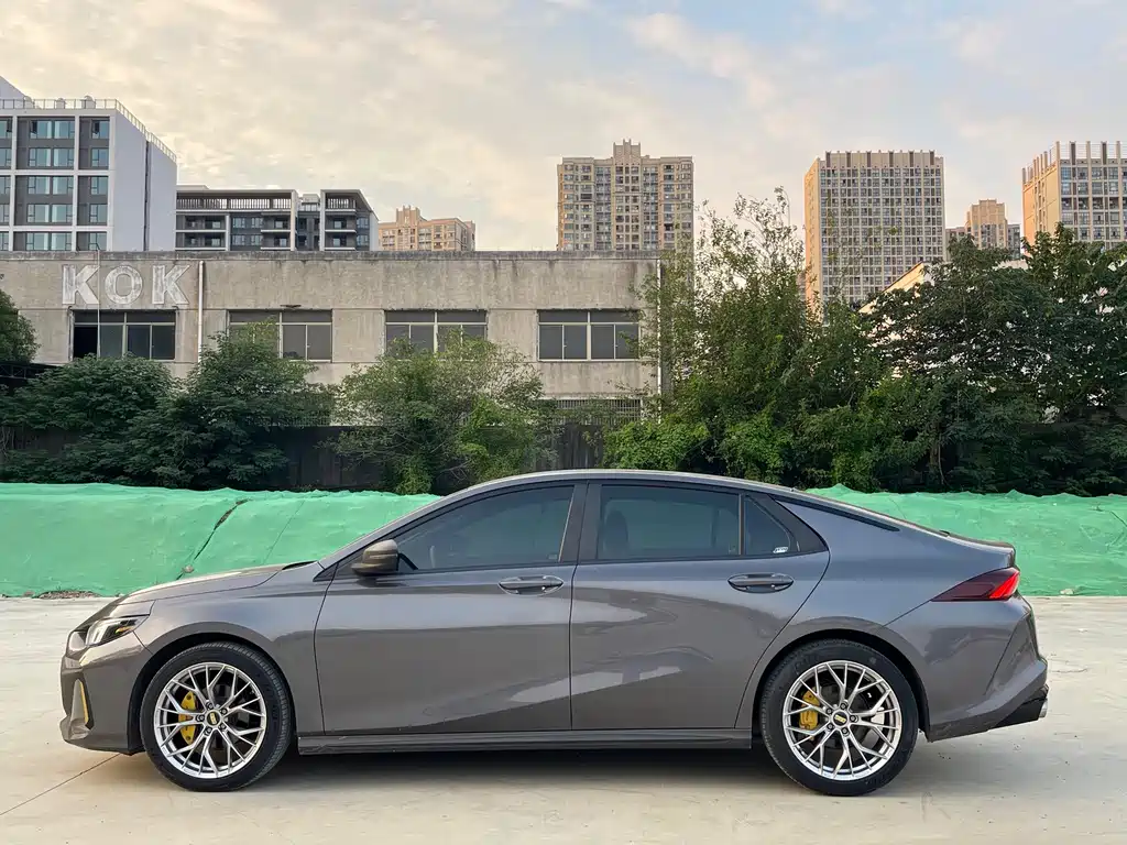 GAC Motor Shadow Leopard — фото 8