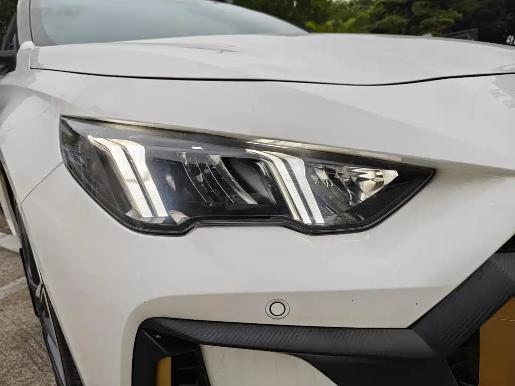 GAC Motor Shadow Leopard — фото 14