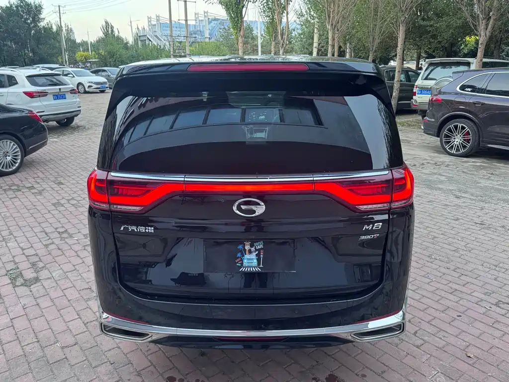 GAC Motor Trumpchi M8 — фото 4