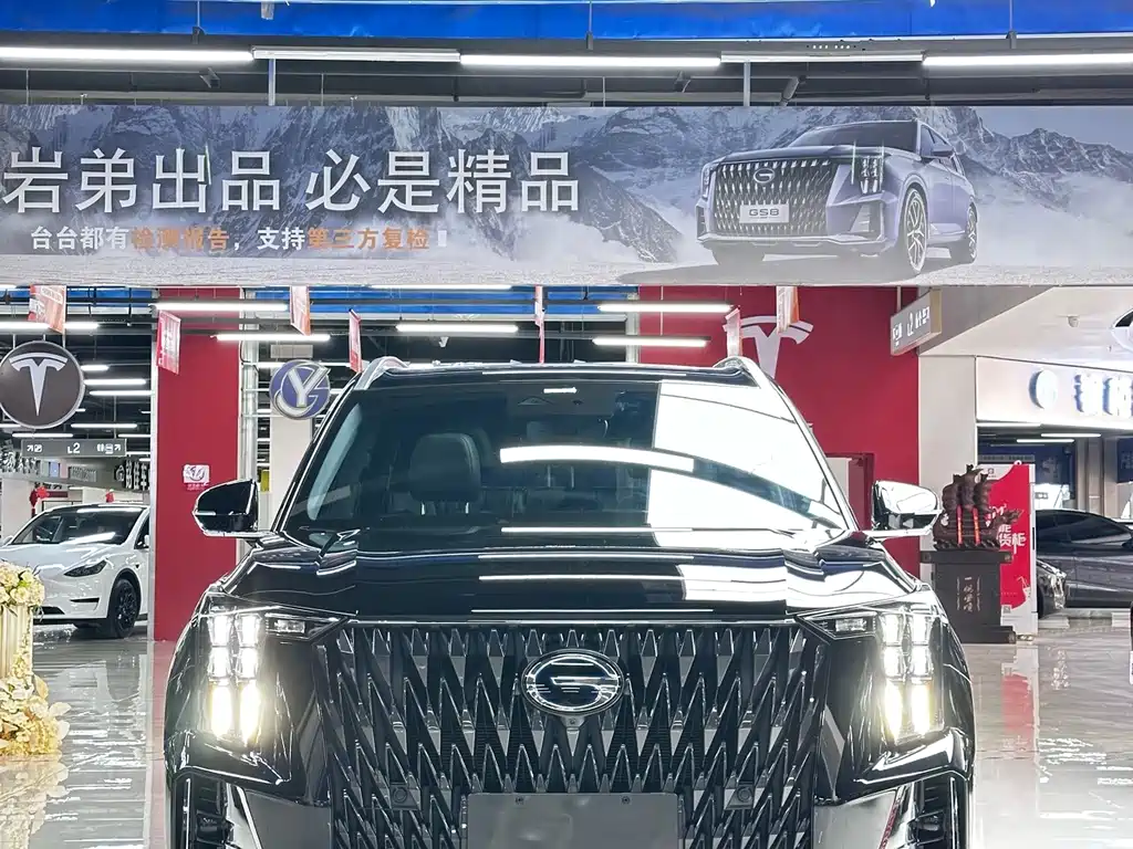 GAC Motor Trumpchi GS8 — фото 3