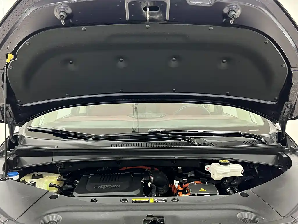 GAC Motor Trumpchi E9 — фото 17