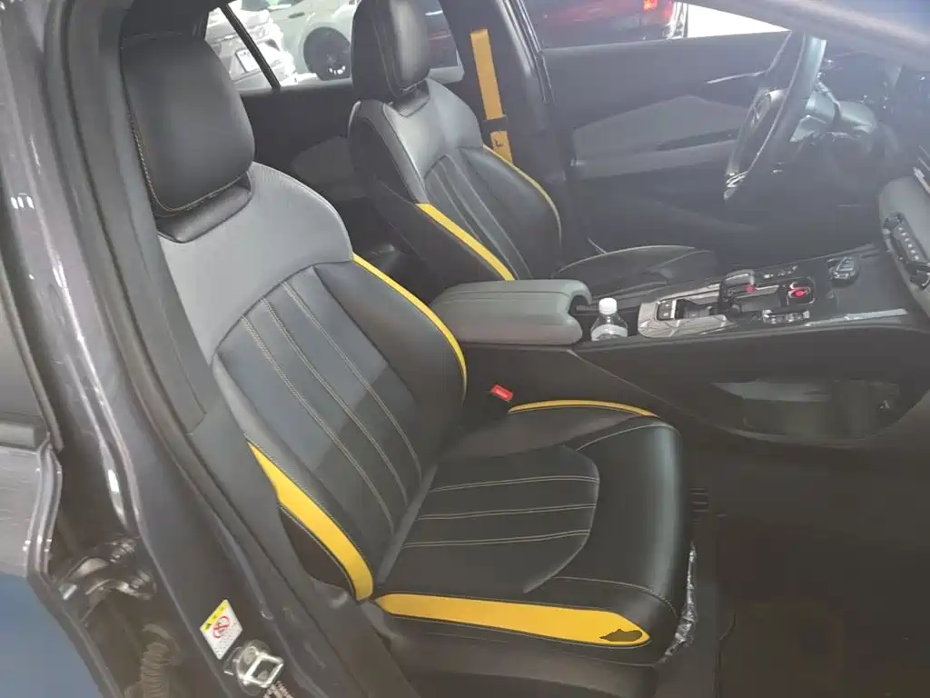 GAC Motor Shadow Leopard — фото 25