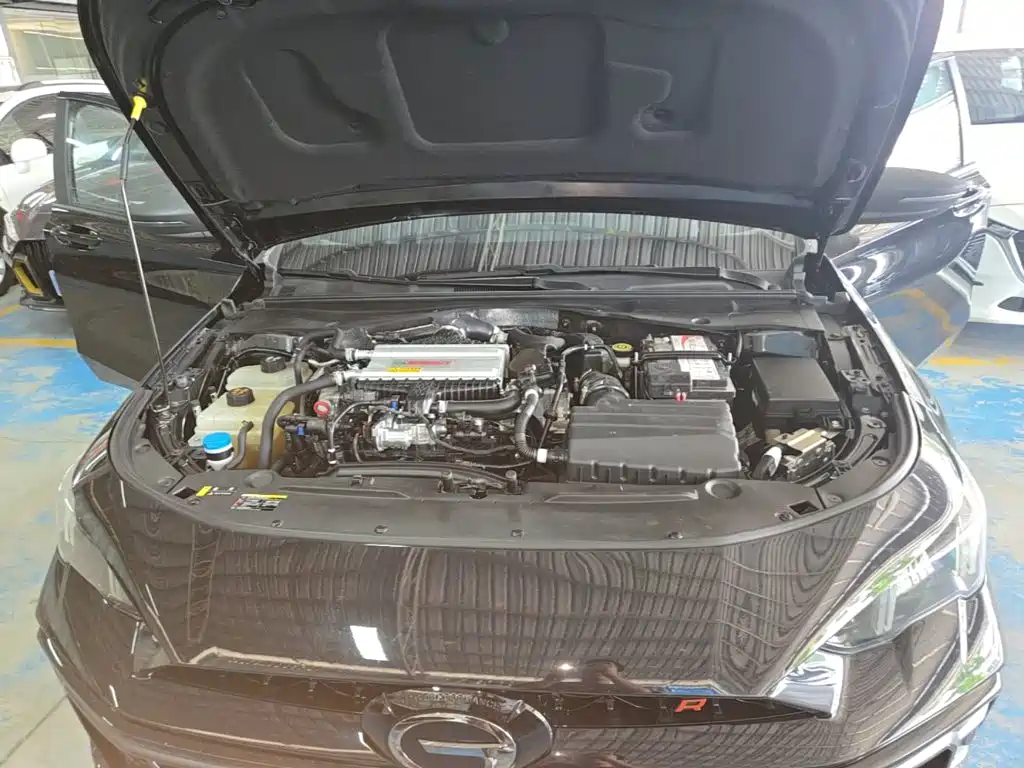 GAC Motor Shadow Leopard — фото 20