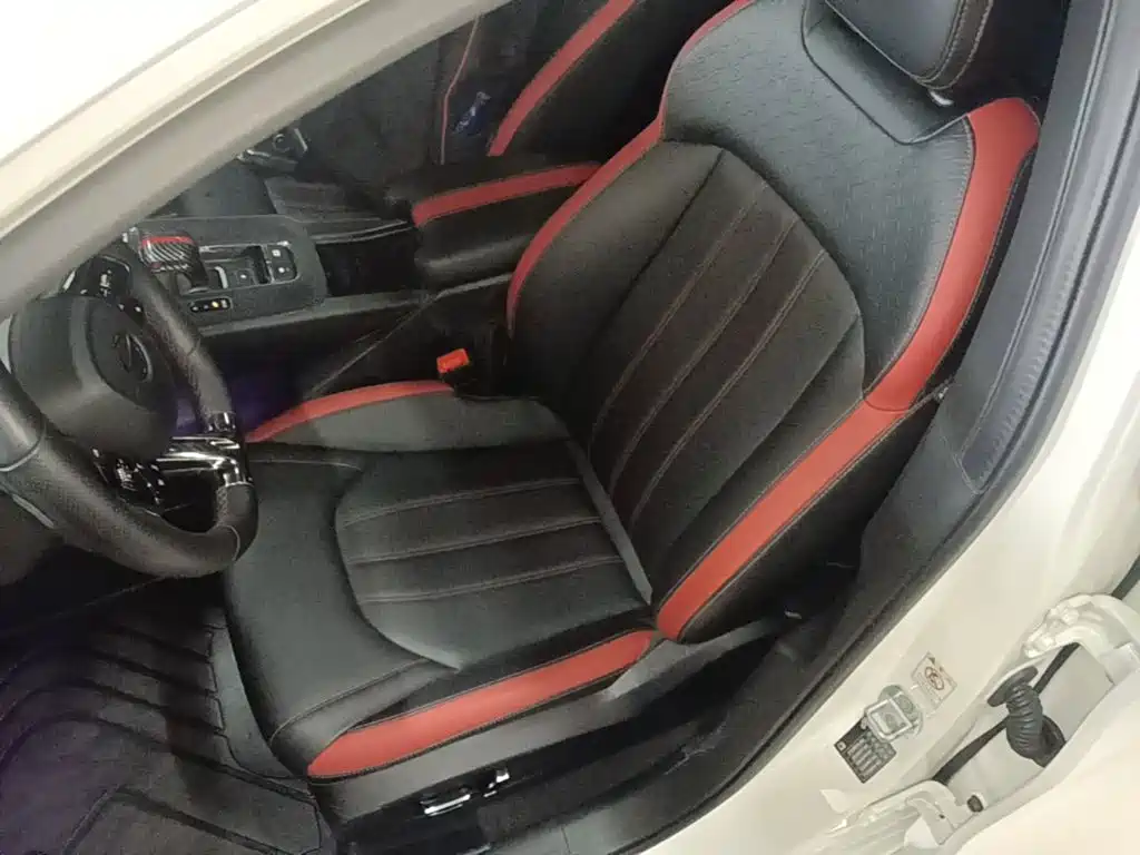GAC Motor Shadow Leopard — фото 15
