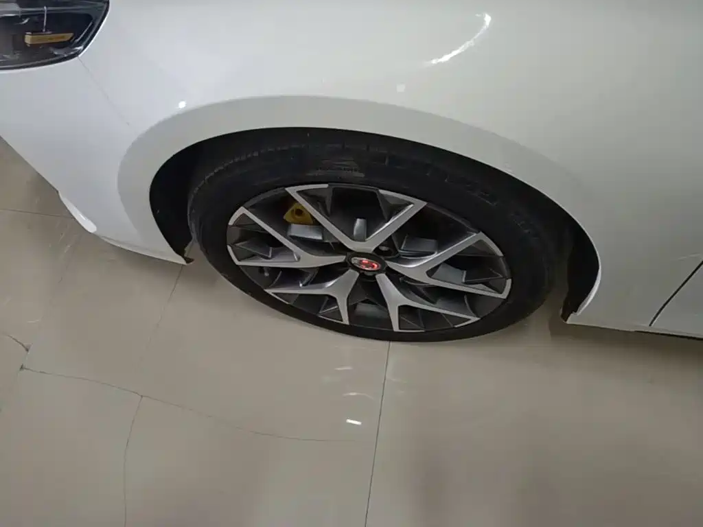 GAC Motor Shadow Leopard — фото 23