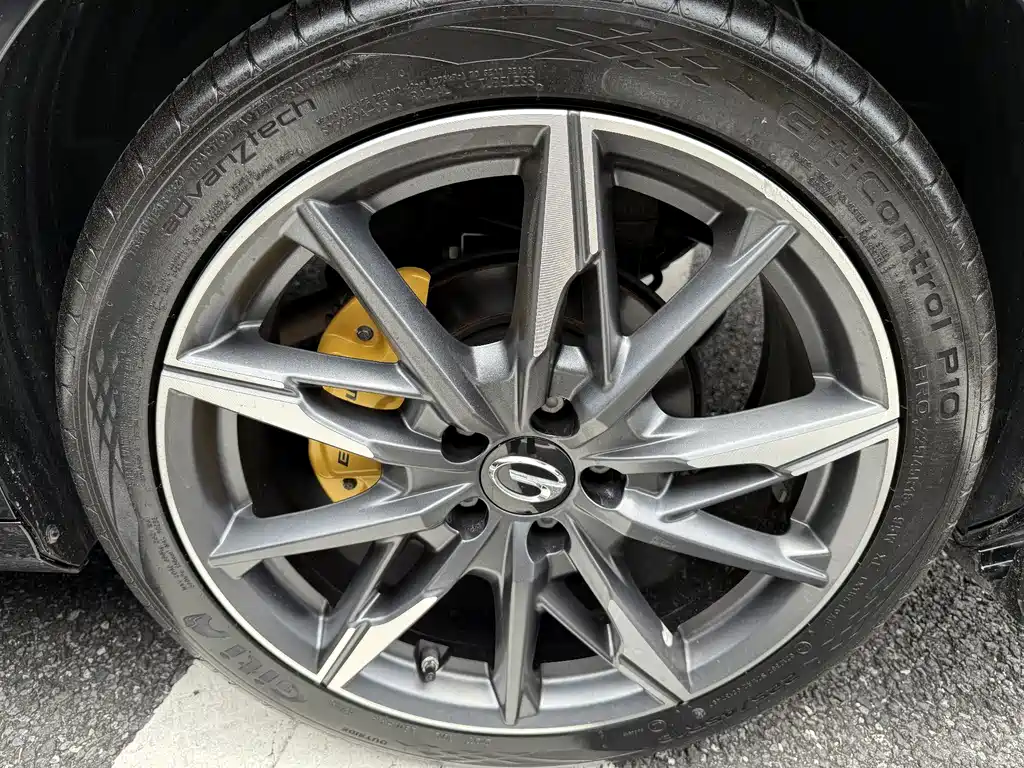GAC Motor Shadow Leopard — фото 14