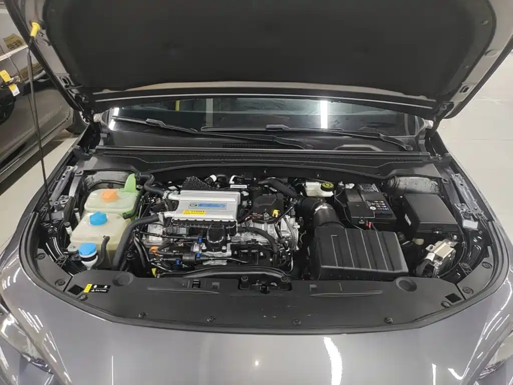 GAC Motor Shadow Leopard — фото 20