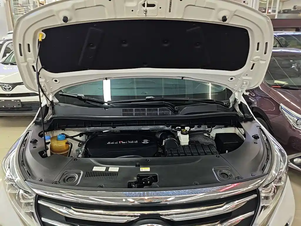 GAC Motor Trumpchi M8 — фото 20
