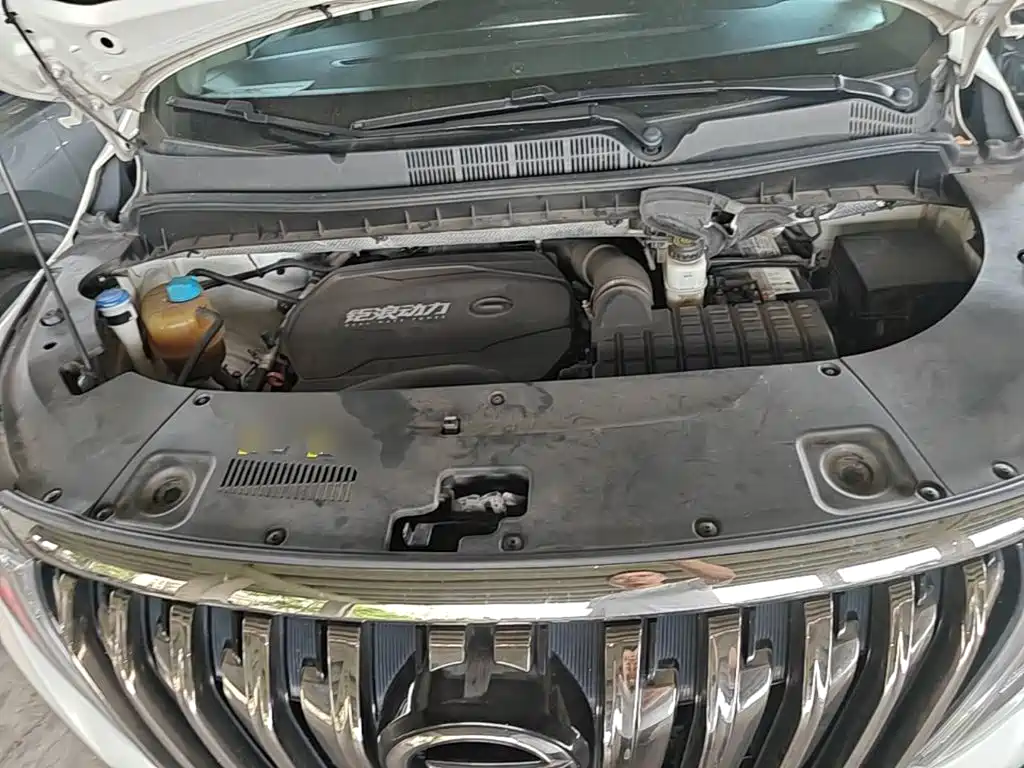 GAC Motor Trumpchi M8 — фото 20