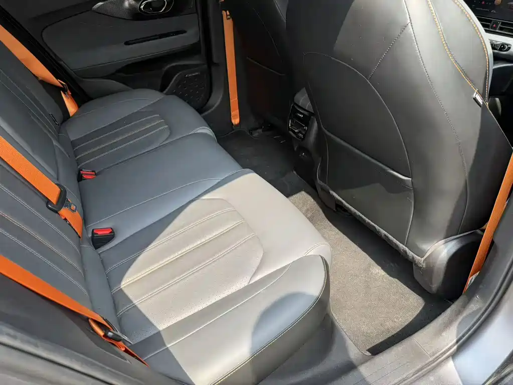 GAC Motor Shadow Leopard — фото 8