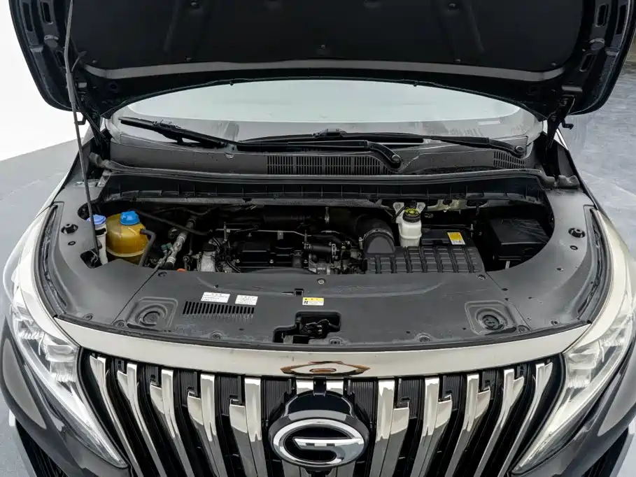 GAC Motor Trumpchi M8 — фото 22