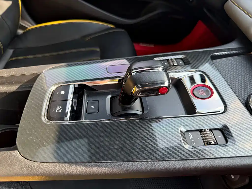 GAC Motor Shadow Leopard — фото 13