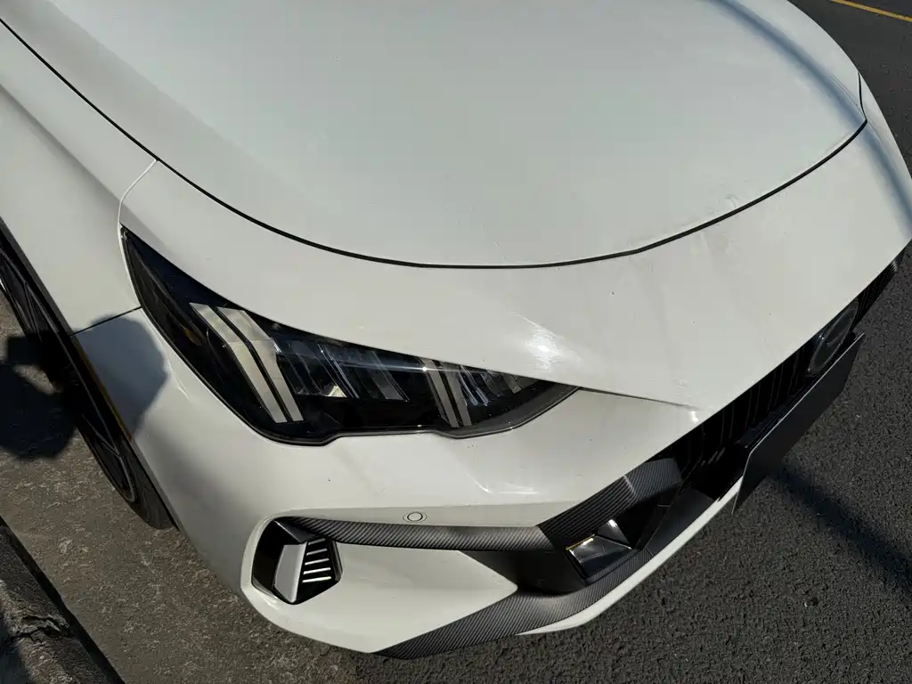 GAC Motor Shadow Leopard — фото 17