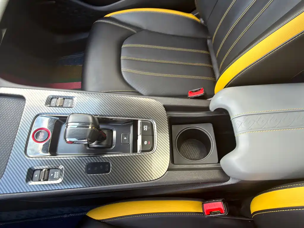 GAC Motor Shadow Leopard — фото 6