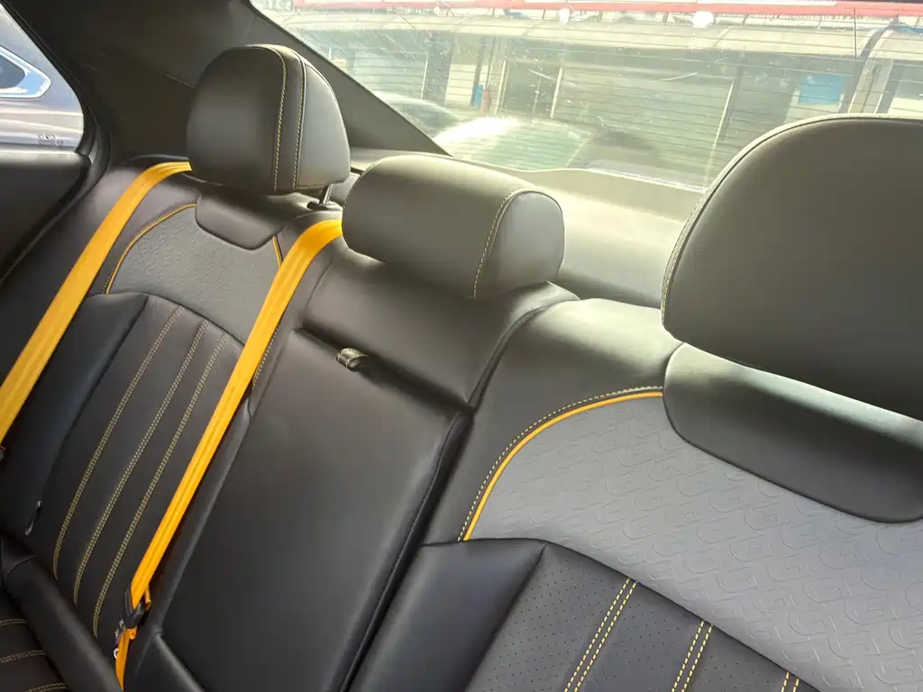 GAC Motor Shadow Leopard — фото 9