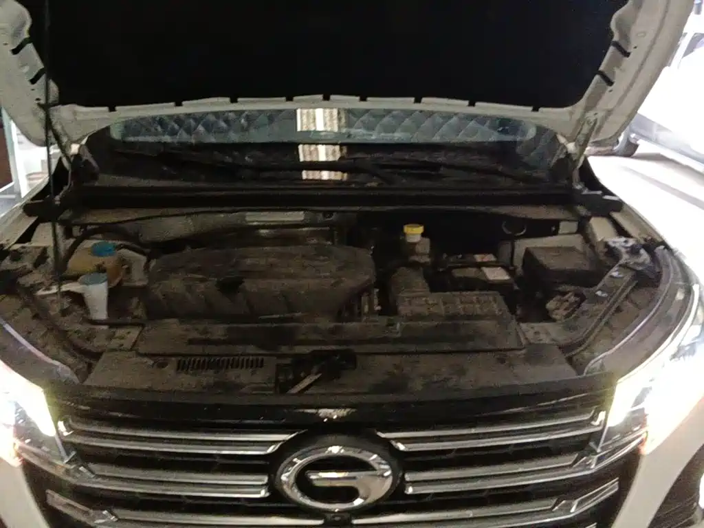 GAC Motor Trumpchi GS4 — фото 20
