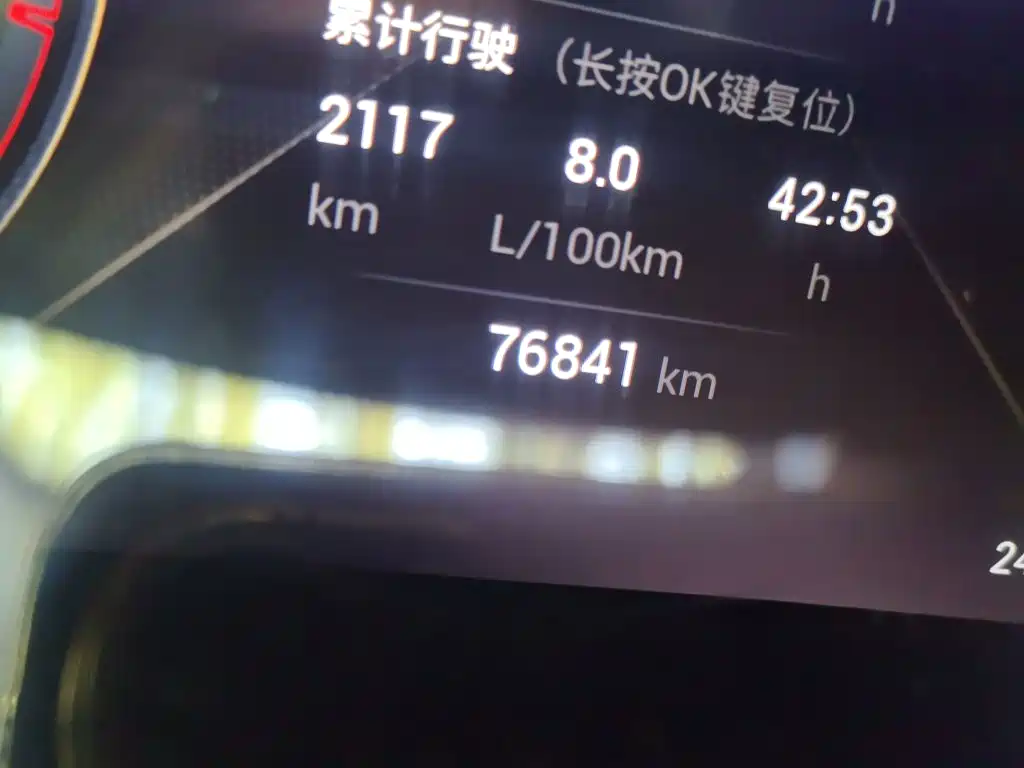 GAC Motor GS4 Plus — фото 8