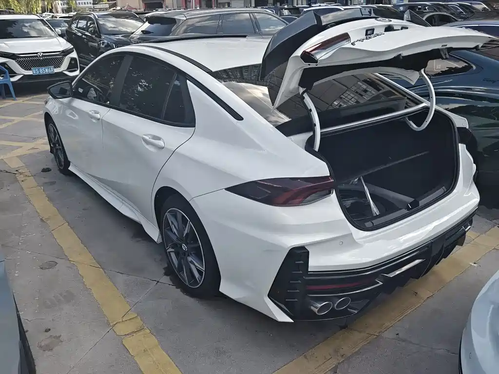 GAC Motor Shadow Leopard — фото 14