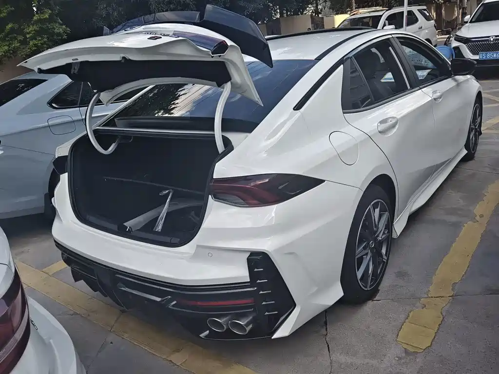 GAC Motor Shadow Leopard — фото 15