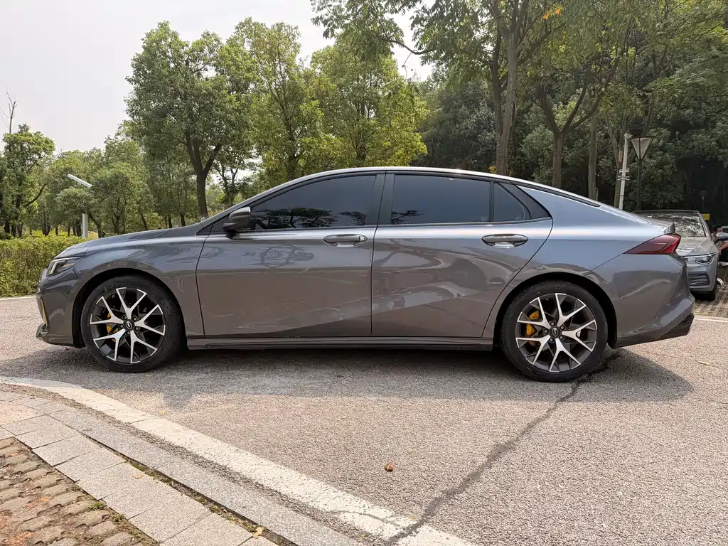 GAC Motor Shadow Leopard — фото 8