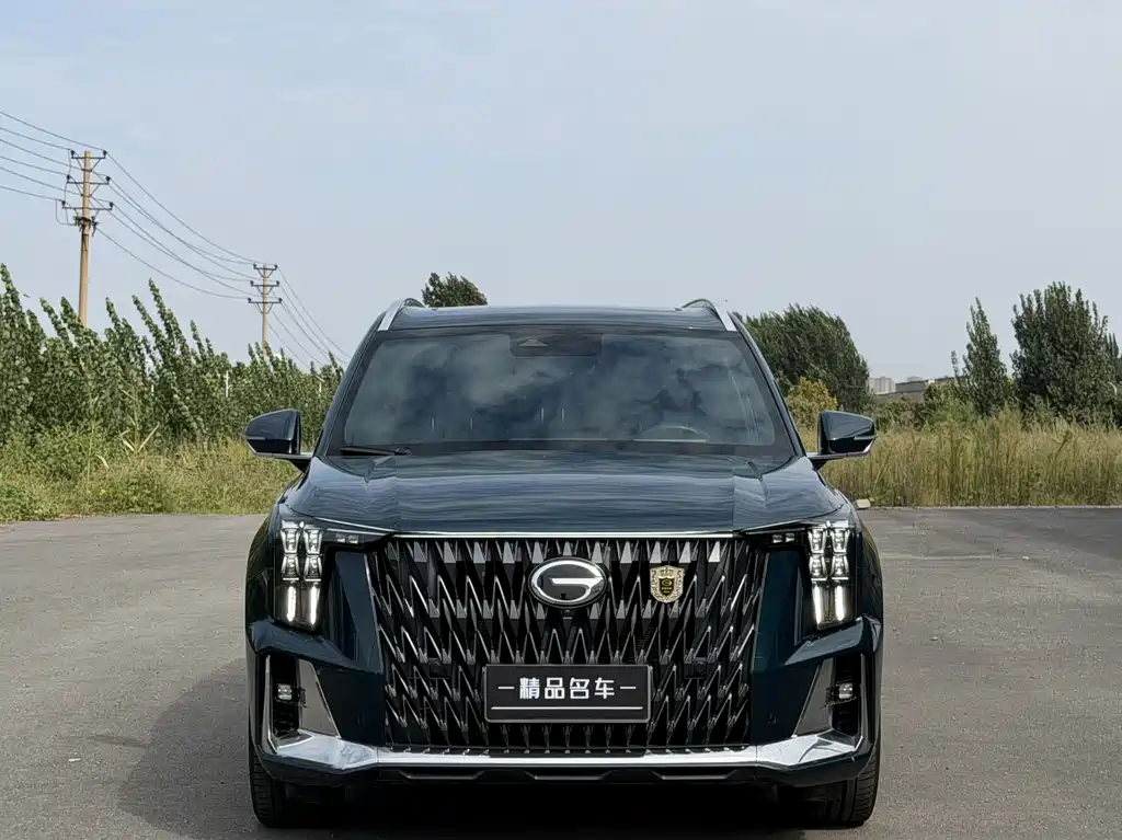 GAC Motor Trumpchi GS8 — фото 2