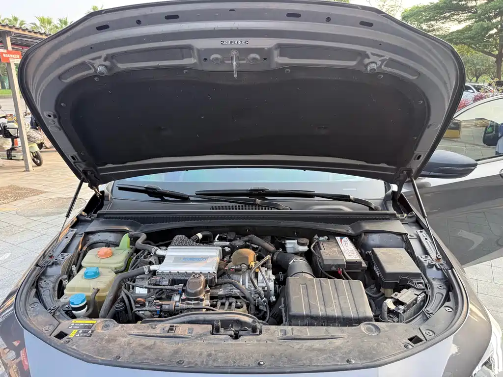 GAC Motor Shadow Leopard — фото 13