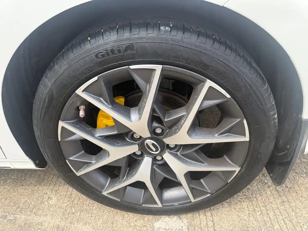 GAC Motor Shadow Leopard — фото 8