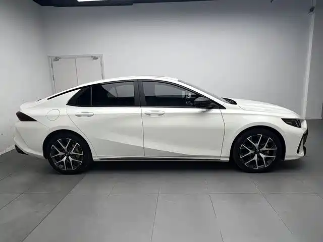 GAC Motor Shadow Leopard — фото 13