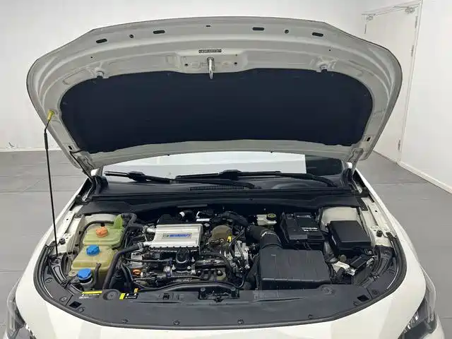 GAC Motor Shadow Leopard — фото 17
