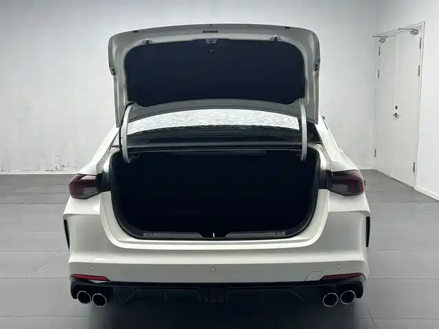 GAC Motor Shadow Leopard — фото 18