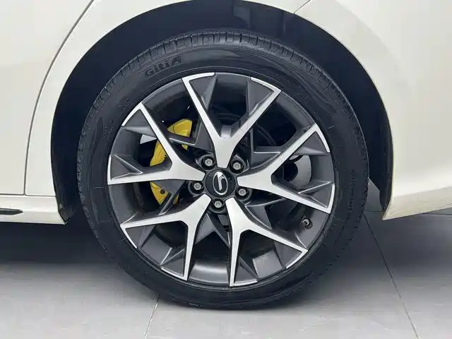 GAC Motor Shadow Leopard — фото 19