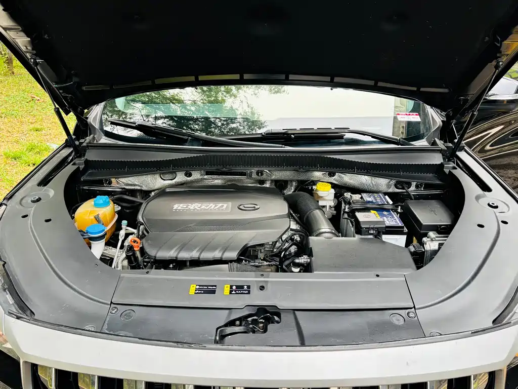 GAC Motor GS4 Plus — фото 23