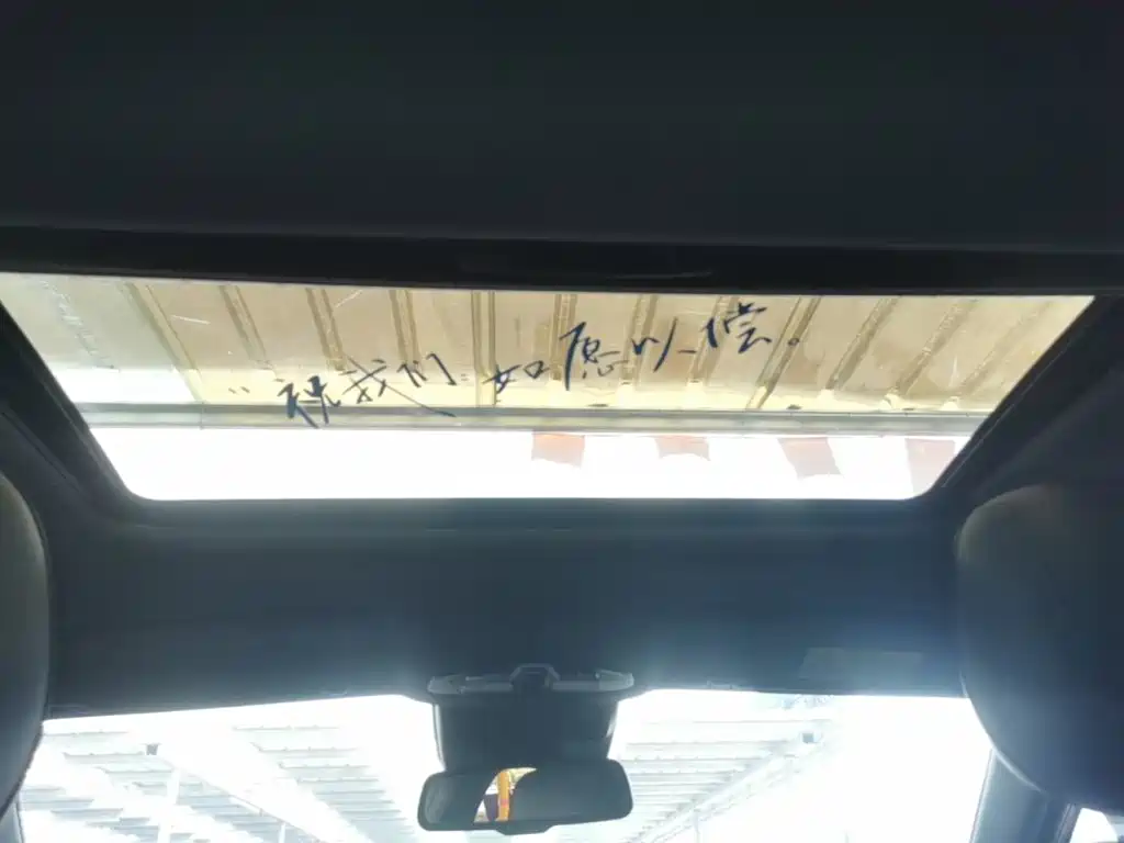GAC Motor Shadow Leopard — фото 18