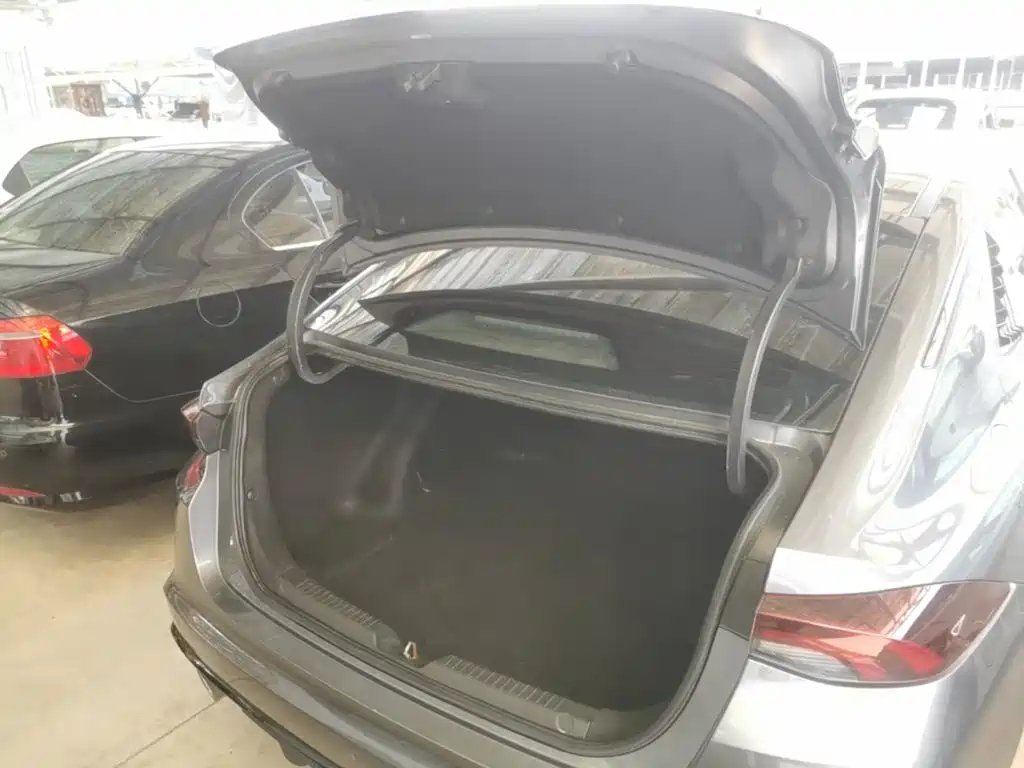 GAC Motor Shadow Leopard — фото 19