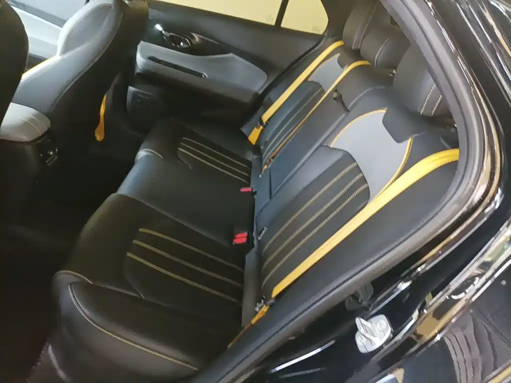 GAC Motor Shadow Leopard — фото 13