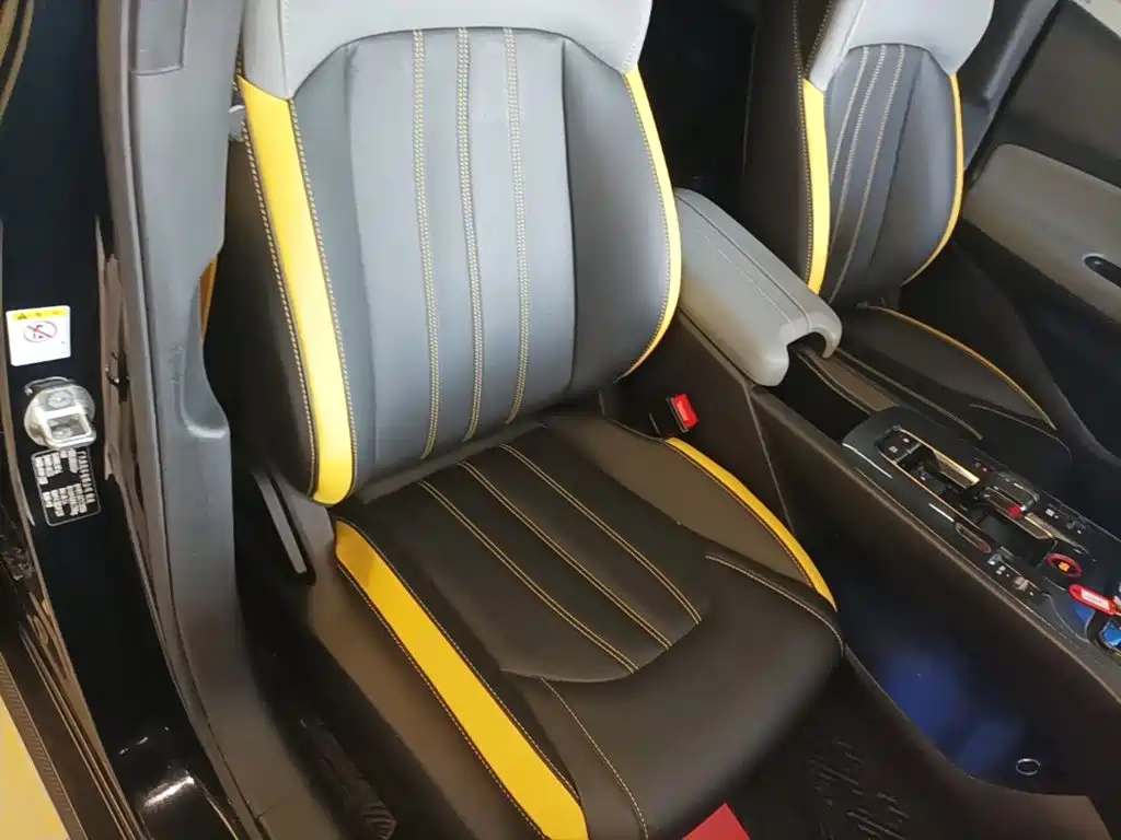 GAC Motor Shadow Leopard — фото 20
