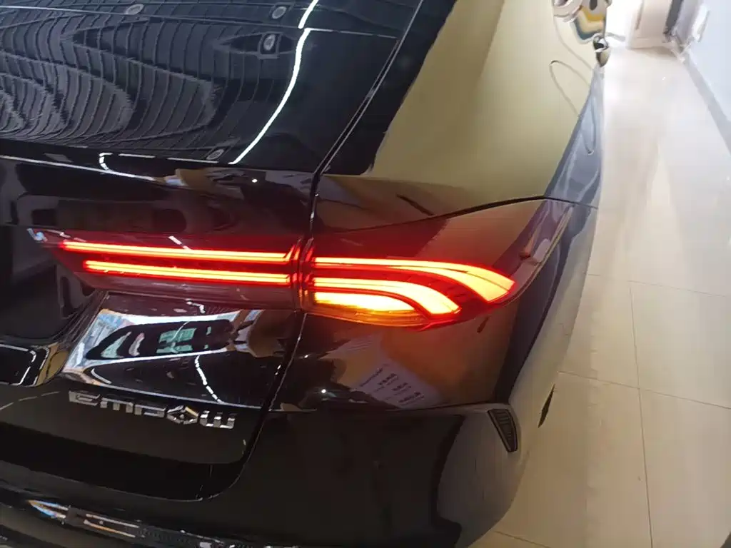 GAC Motor Shadow Leopard — фото 24